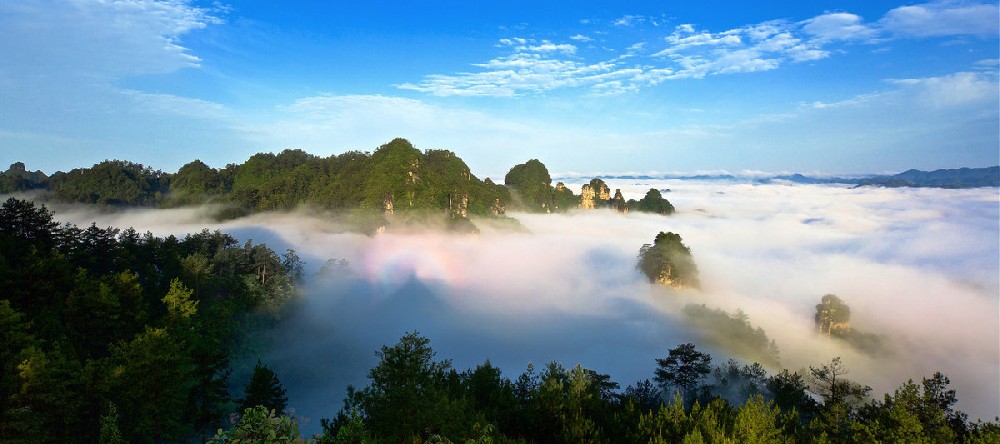 少林龙门洛阳牡丹 云台山2日（龙门石窟少林寺云台山二日游）