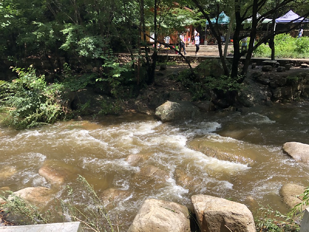 洛阳到王莽岭一日游--洛阳到王莽岭旅游（自驾洛阳到济源王屋山高速免费吗）