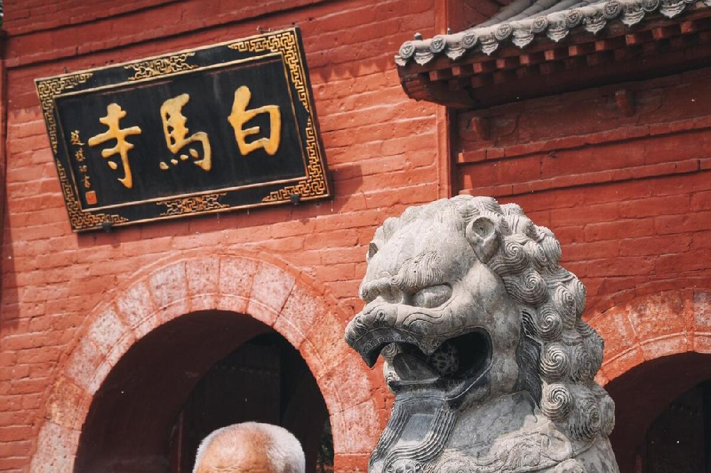 洛阳白马寺景区(洛阳白马寺风景区门票) 洛阳白马寺景区(洛阳白马寺风景区门票)