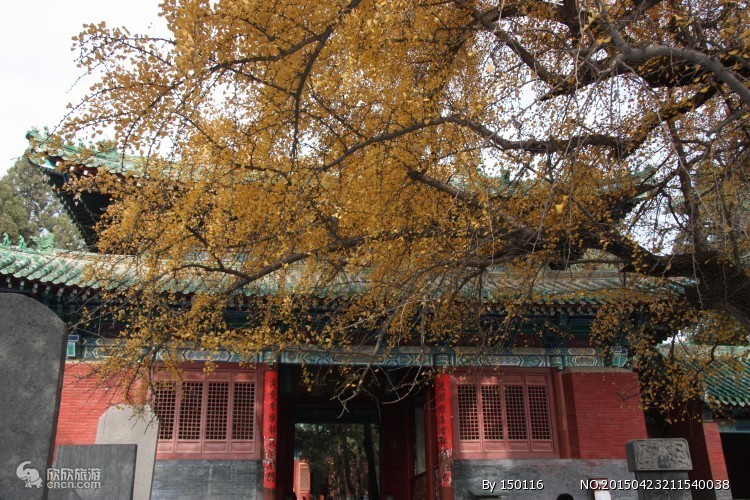 Zhengzhou 5-Day complete travel guide | gold-medal leader