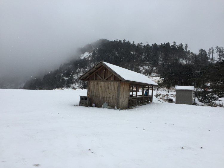 报团神农架六日游_神农架旅游团_洛阳/郑州到神农架旅游六日游