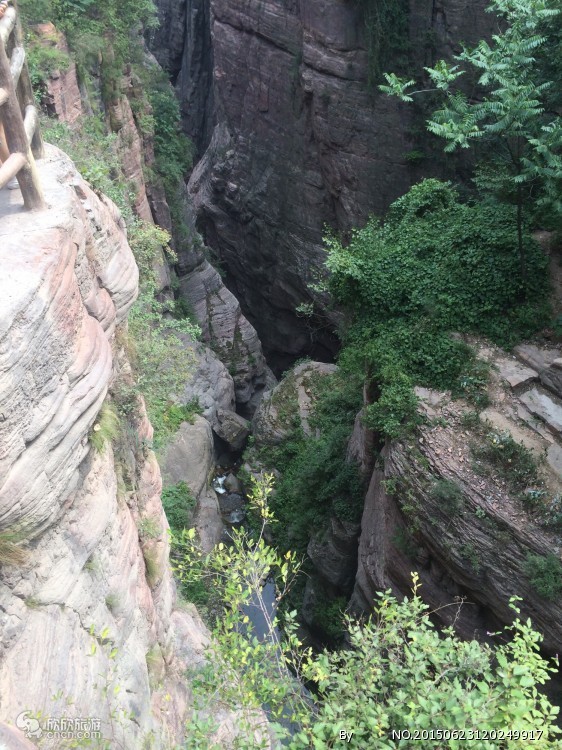 Shaolin Pagoda Forest