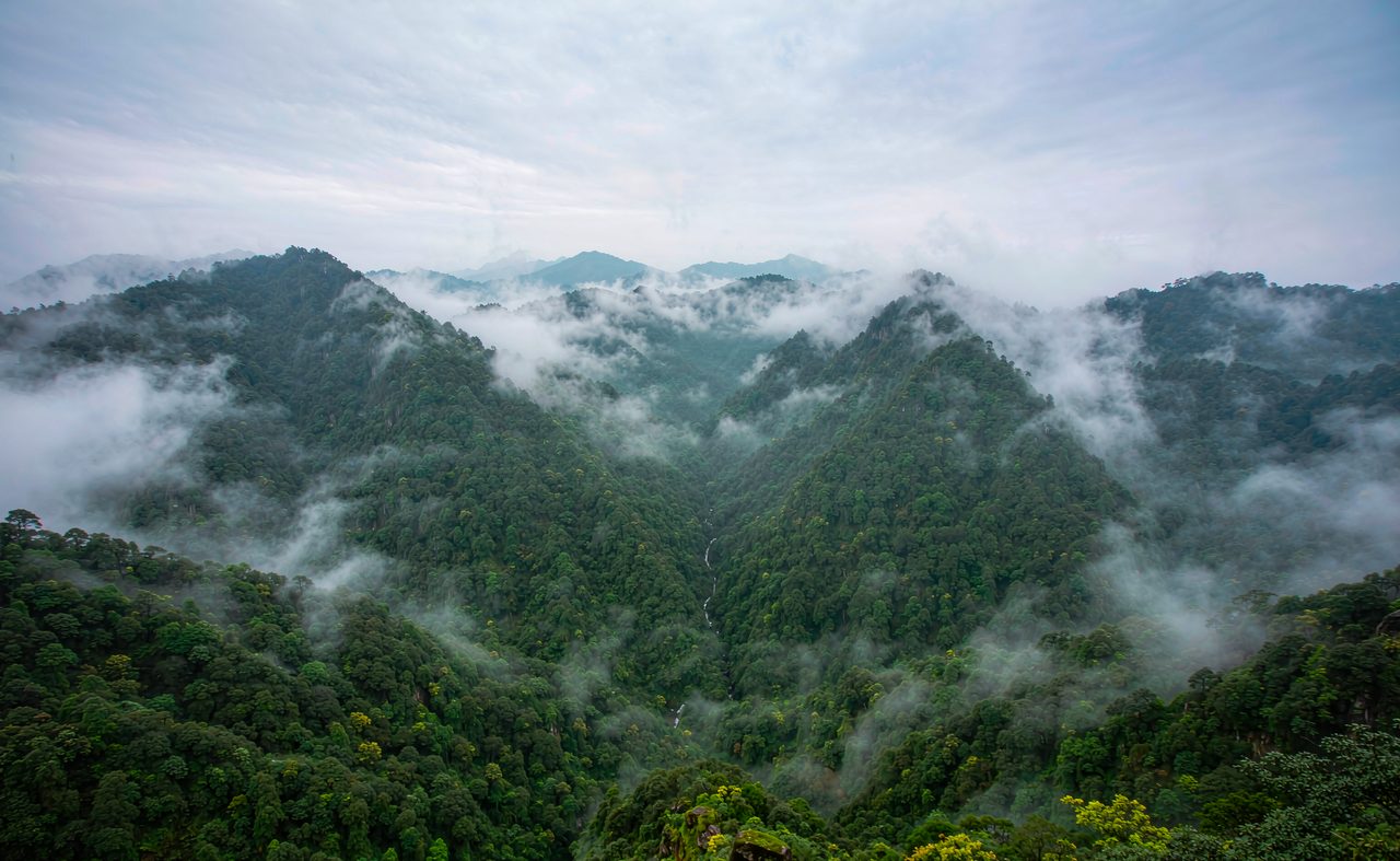 洛阳+白云山4日森林避暑游