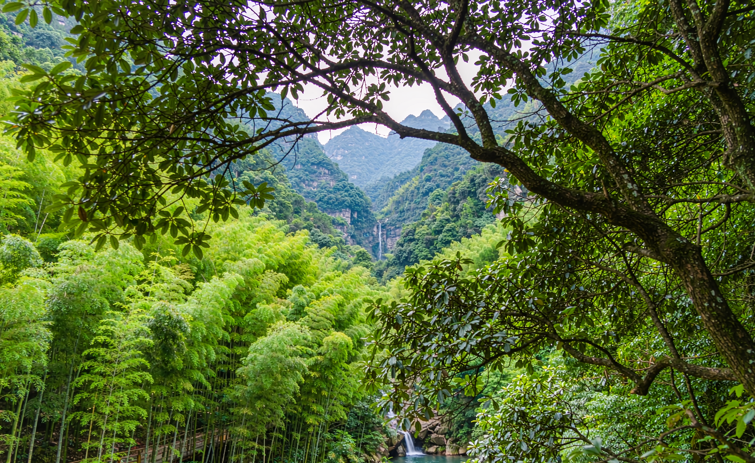 新乡出发白马寺+龙门石窟+老君山+4天3晚小团跟团游