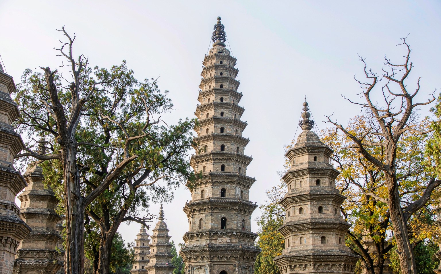 Luoyang + Shaolin One-Day Tour (Longmen + Shaolin)