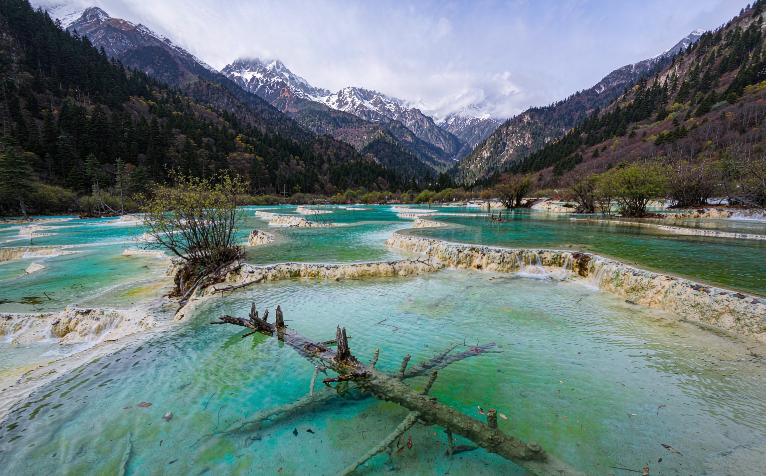 成都+九寨沟+黄龙风景名胜区+都江堰景区+三星堆博物馆+峨眉山+乐山8日7晚跟团游