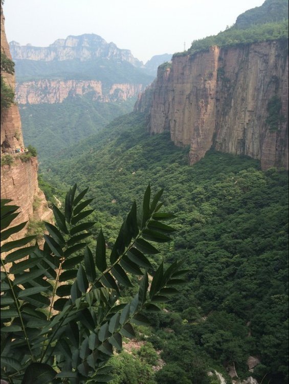 Luoyang 5-Day sightseeing-only tour | local guide