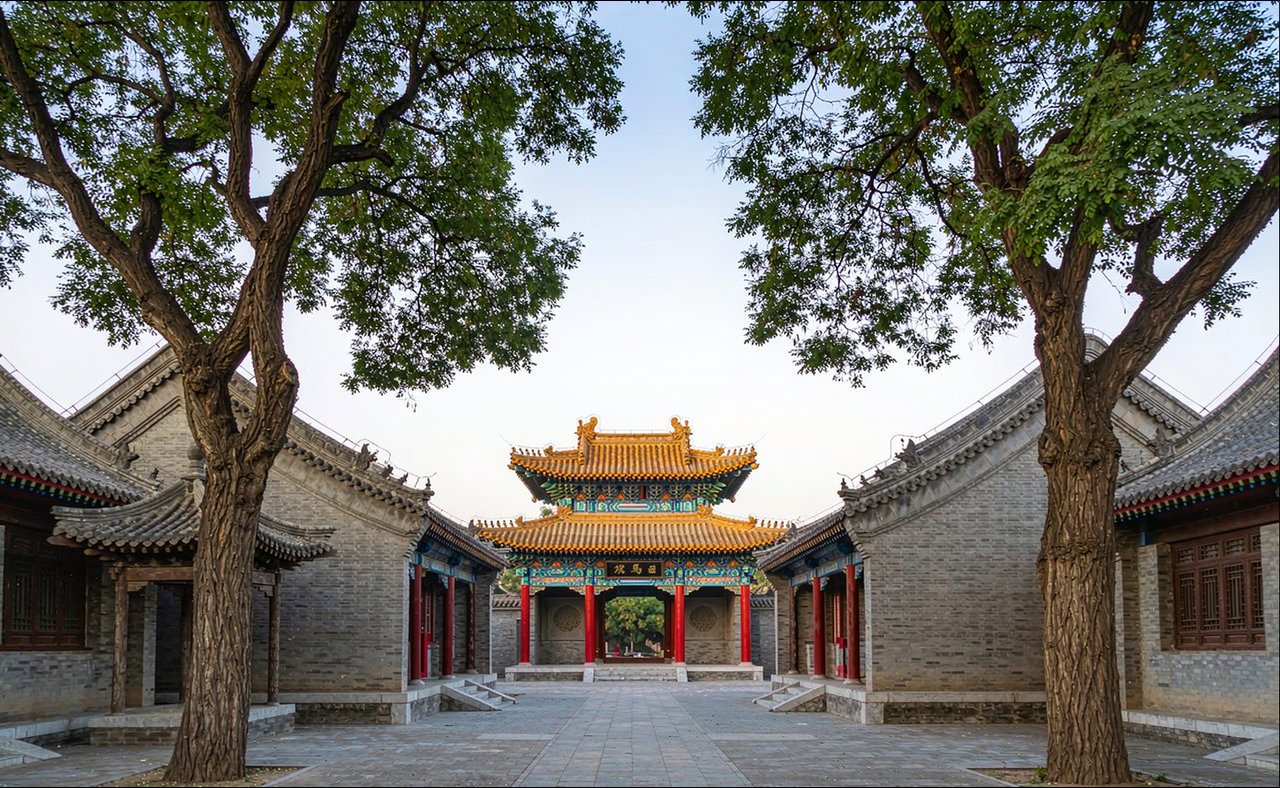Zhengzhou 3-Day private small group | gold-medal leader