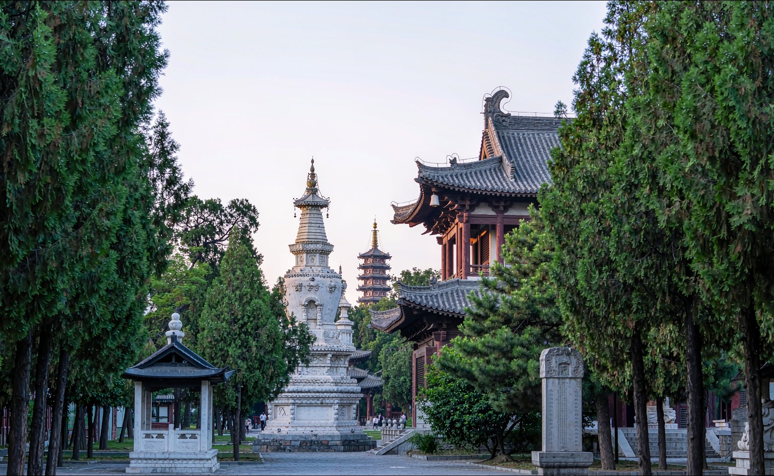 Luoyang-Zhengzhou-Kaifeng 8-Day complete travel guide | senior guide