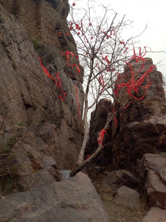 龙门石窟全景