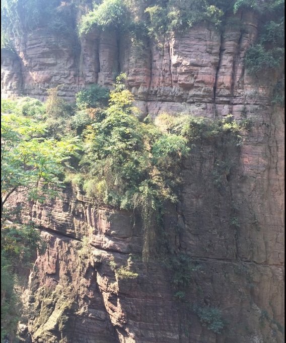 开封7天爆款定制团价格 | 本地导游旅游攻略