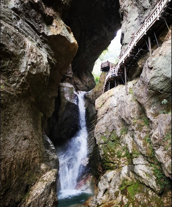 Henan 4-Day customized private tour | senior guide