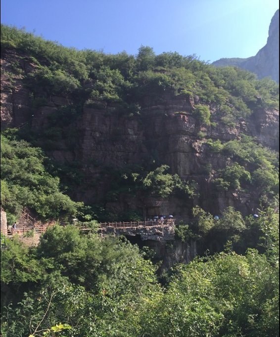 Henan 8-Day pitfall guide | local leader