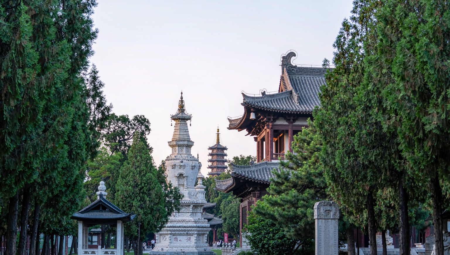 Henan 8-Day private small group | dedicated guide