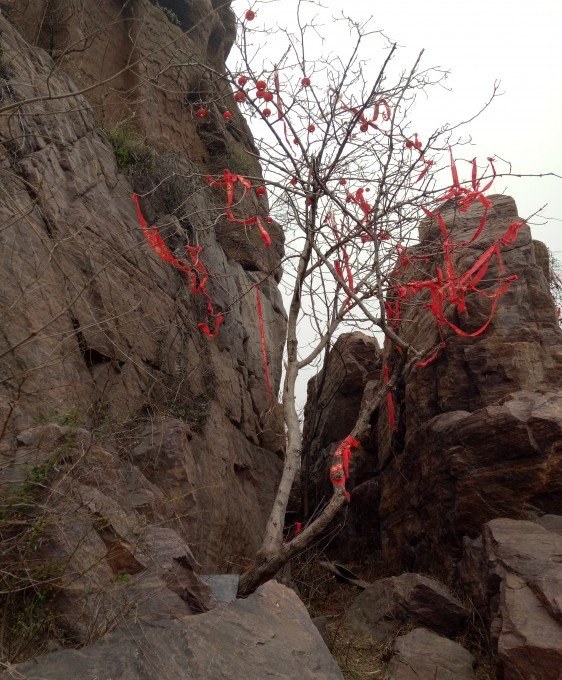纠结洛阳玩几天合适?资深领队2天组团玩法,费用路线