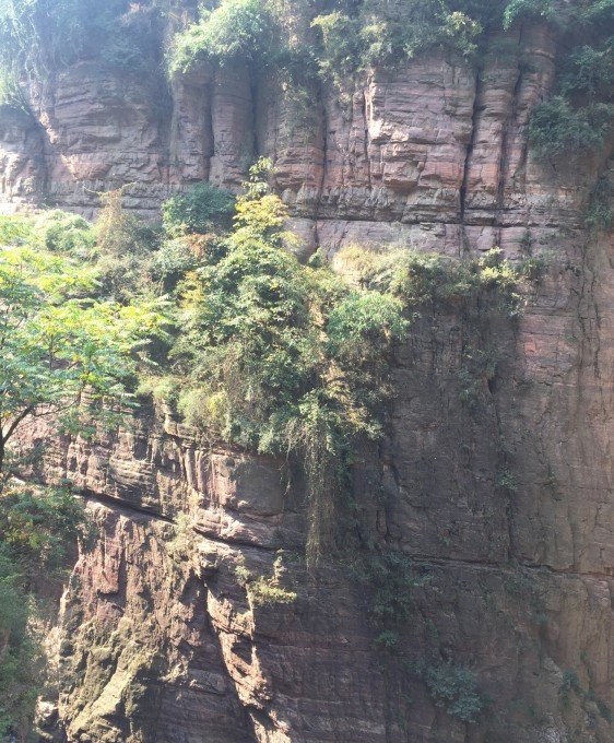 Luoyang 3-Day pitfall guide | gold-medal leader