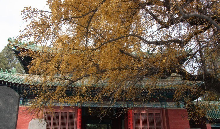 白马寺