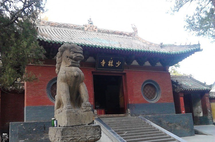Henan 8-Day family tour | dedicated guide